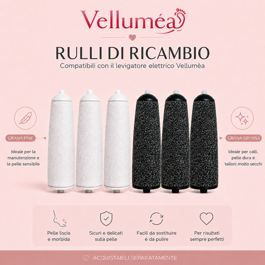 6 Rulli di Ricambio